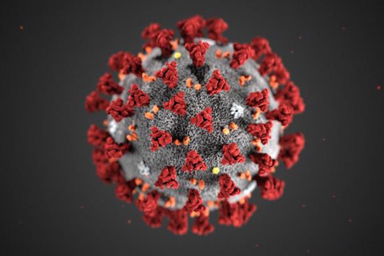 Number of coronavirus cases in Germany rises to 57,298