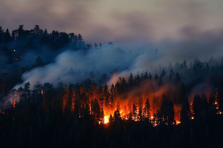 China state media reports 19 people killed in forest fire