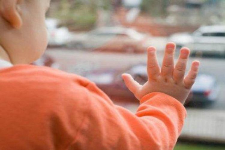 646 children adopted in Azerbaijan last year