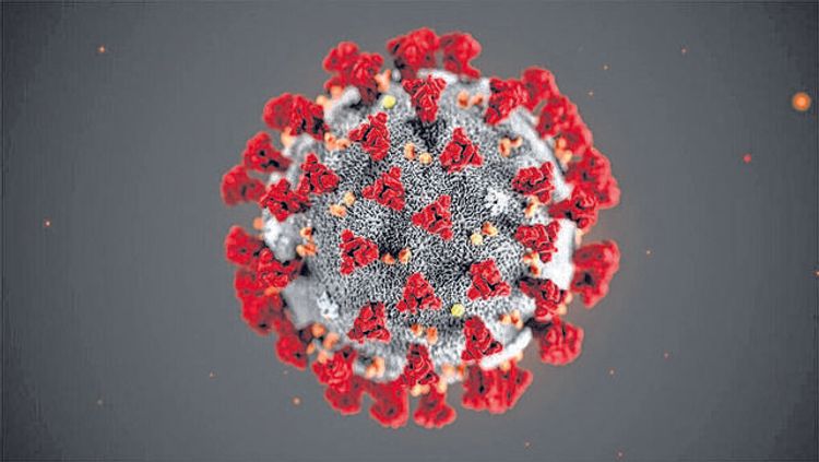 Ukraine registers 418 new COVID-19  infections