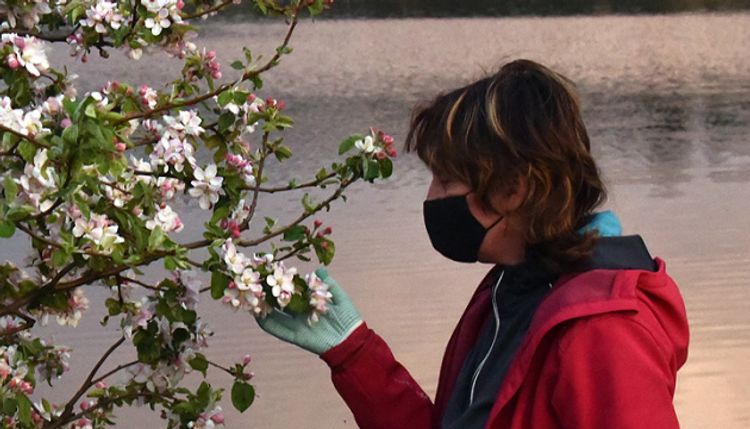 Ukraine reports 12,697 coronavirus cases 