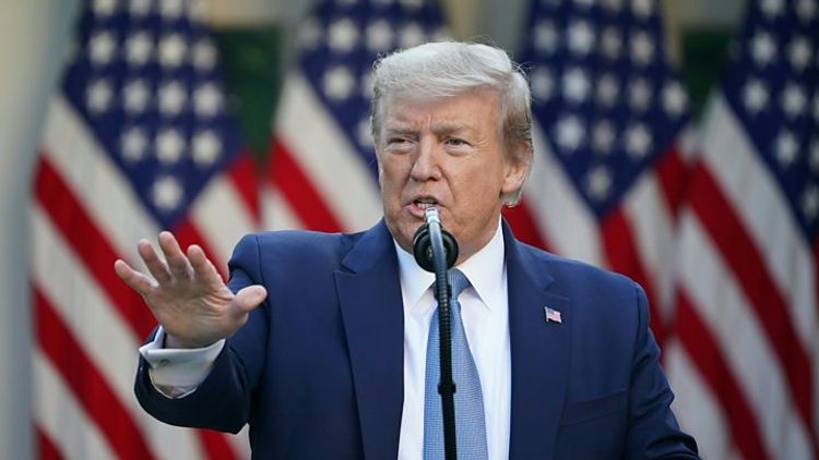 White House plans to disband virus task force