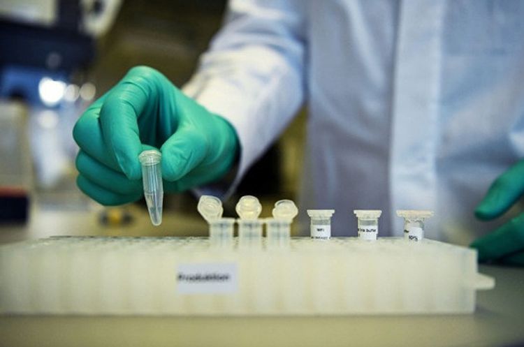 Number of coronavirus cases in Armenia grows by 163 in past 24 hours