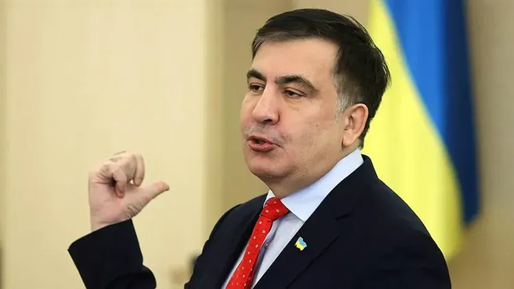 Saakashvili to be appointed to the National Reform Council of Ukraine