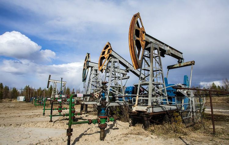 Oil production in US may drop from 2 to 3 mln barrels/day, says Russian Energy Ministry