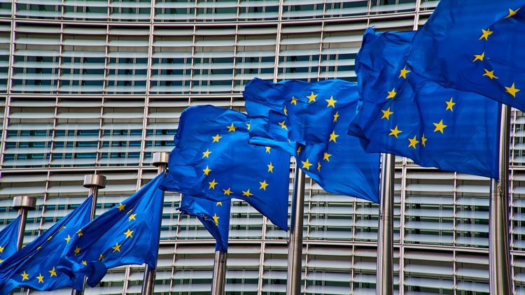 Balkans are on path to EU membership: statement