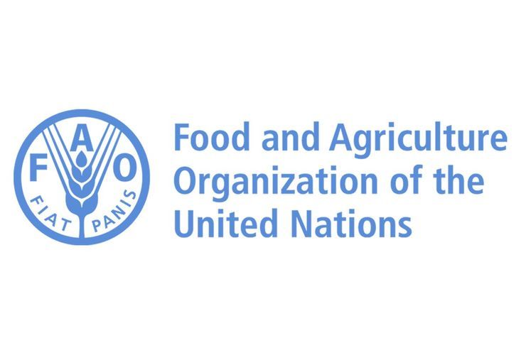 FAO: Global food prices drop in April amid pandemic