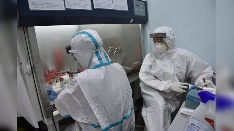 16 new COVID-19 cases in Uzbekistan bring total to 2,314