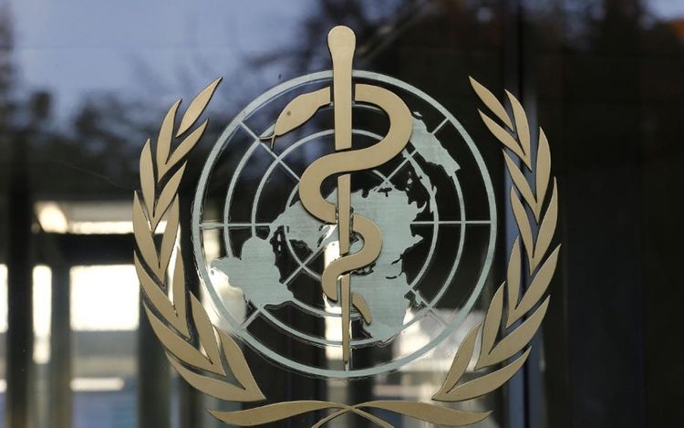  WHO: Wuhan market had role in virus outbreak, but more research needed