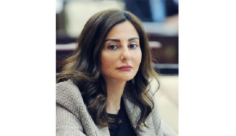 OSCE PA’s Committee on Democracy, Human Rights and Humanitarian Questions holds an online meeting