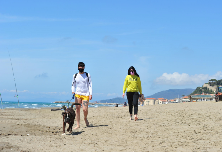 Italy's daily coronavirus death toll and new cases fall