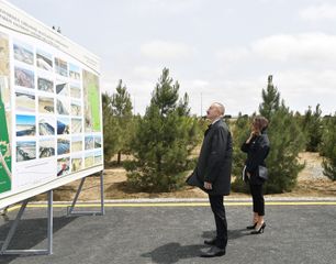 President Ilham Aliyev and first lady Mehriban Aliyeva planted tree on the occasion of national leader Heydar Aliyev’s birth anniversary