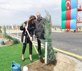 President Ilham Aliyev and first lady Mehriban Aliyeva planted tree on the occasion of national leader Heydar Aliyev’s birth anniversary