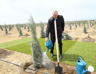 President Ilham Aliyev and first lady Mehriban Aliyeva planted tree on the occasion of national leader Heydar Aliyev’s birth anniversary