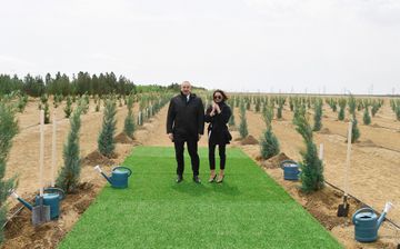 President Ilham Aliyev and first lady Mehriban Aliyeva planted tree on the occasion of national leader Heydar Aliyev’s birth anniversary