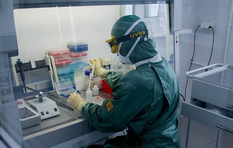 Russian region to set up medal for fighting COVID-19