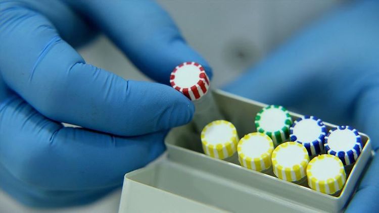 Turkey exports COVID-19 test kits to over 50 countries 