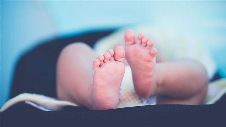 Turkey records nearly 1.2M live births in 2019