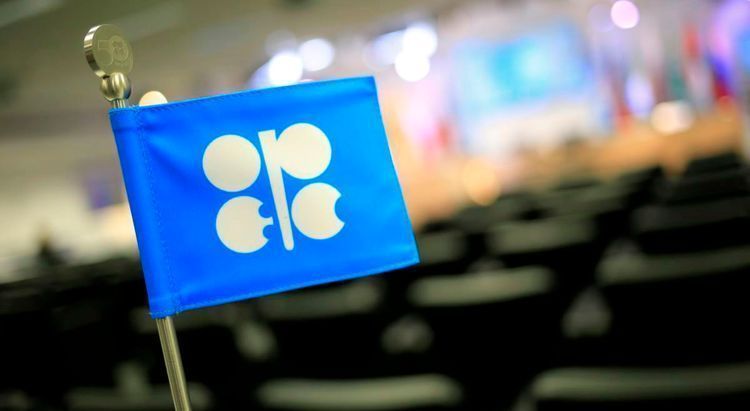 OPEC+ countries cut oil export