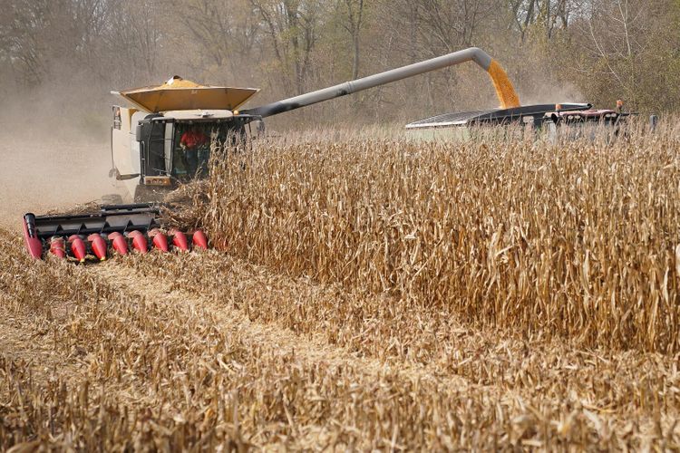 UK plans to cut tariffs on U.S. agricultural imports