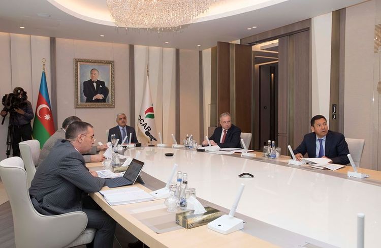 Execution of OPEC+ agreement discussed at Azerbaijan's SOCAR
