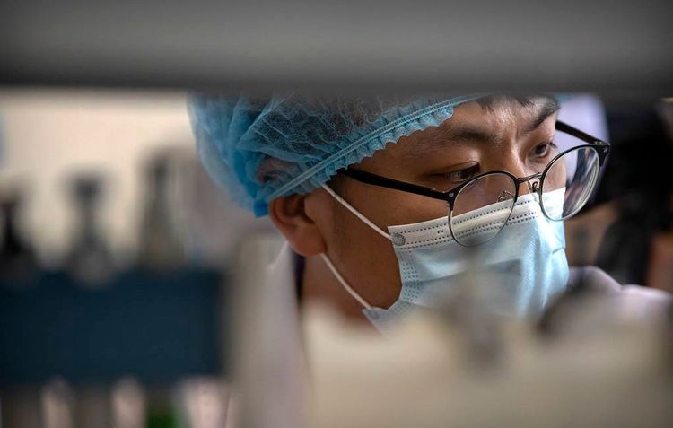 Coronavirus vaccine should be available to all, says Lavrov