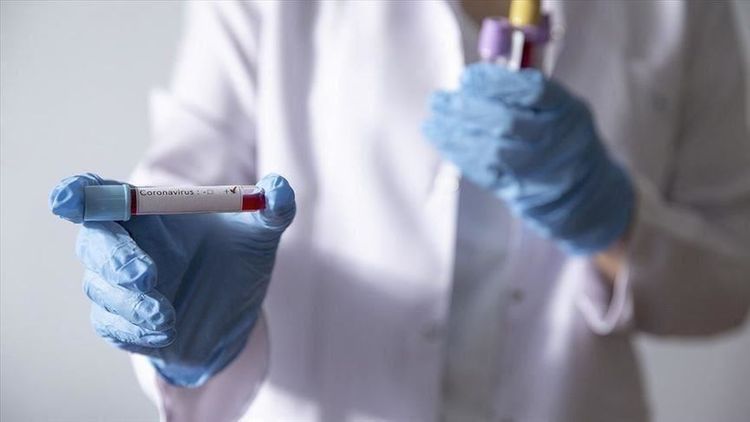 Coronavirus cases worldwide surpass 4.5 million