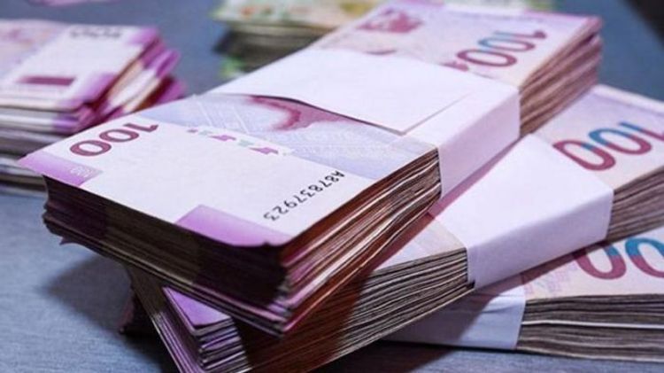 Funds spent on census of population and implementation of municipal elections disclosed