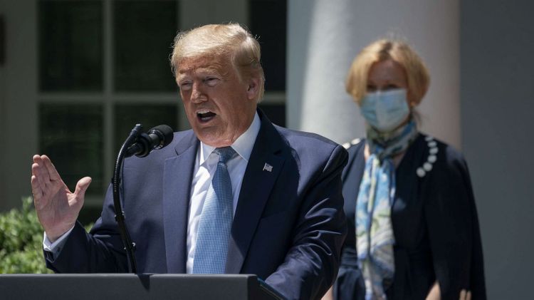 Trump: No WHO funding decision made yet