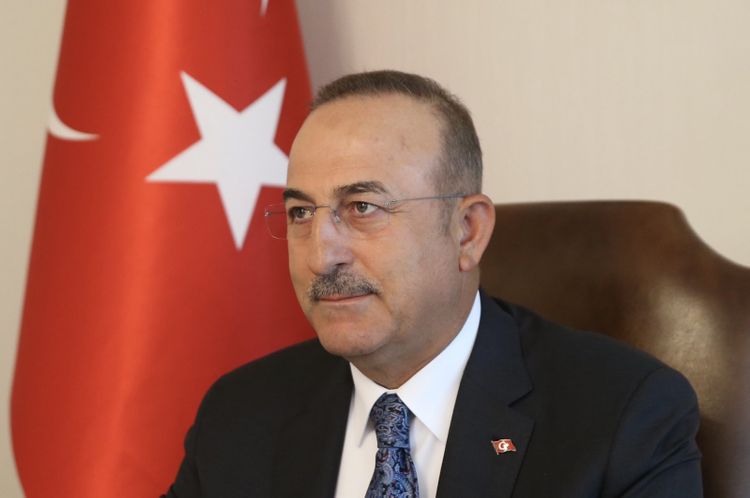 UNSC failed to pass a single coronavirus resolution, FM Çavuşoğlu says