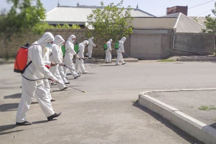 Disinfectant substances have negative impact on environment, says Chairman of Service