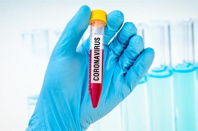 Number of COVID-19 cases surpasses 8,500 in Kazakhstan  