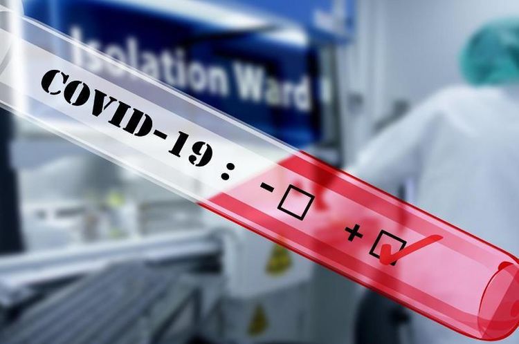 Over 400 new COVID-19 cases registered in Kazakhstan 