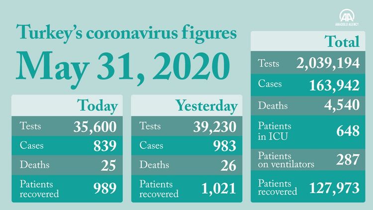 Turkey's COVID-19 cases remain at 'anticipated level'