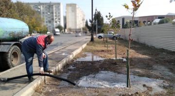 Measures of fight against coronavirus are continued in Azerbaijan’s Ganja - PHOTO
