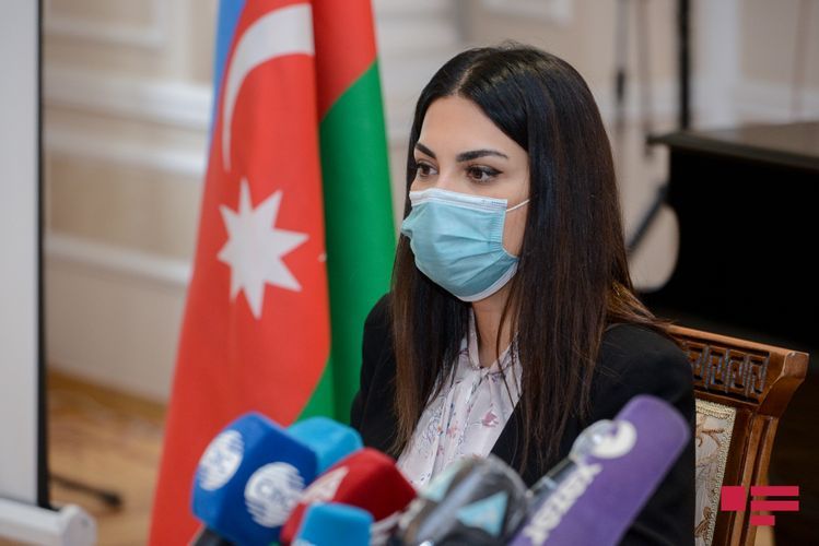 Number of cultural institutions destroyed by Armenians in occupied territories announced