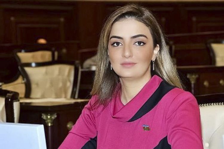 Azerbaijani MP Konul Nurullayeva reprimanded