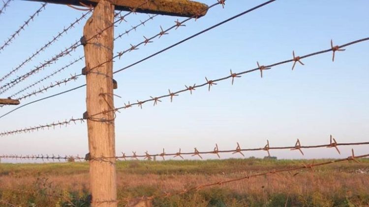 Three security guards killed in armed incident on the Iranian border
