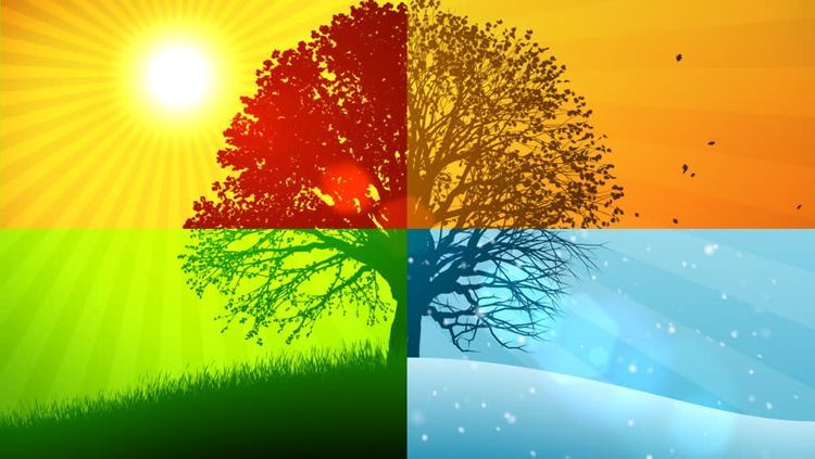 Arrival dates of seasons in Azerbaijan for next year revealed - EXCLUSIVE