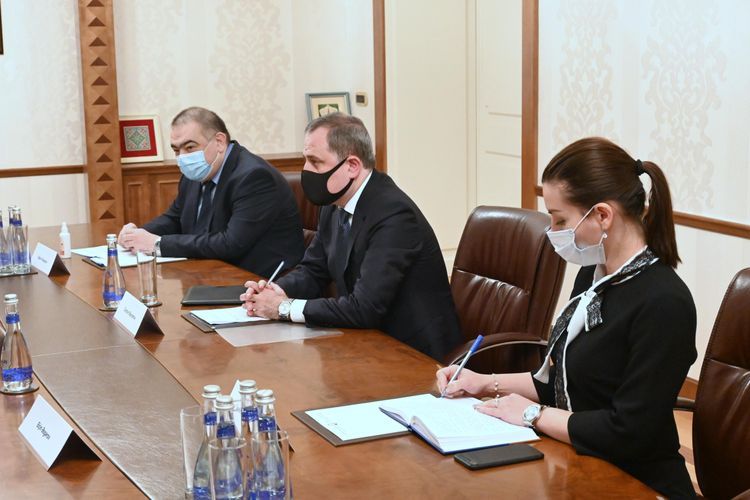 Azerbaijani FM meets with President of OIC Youth Forum