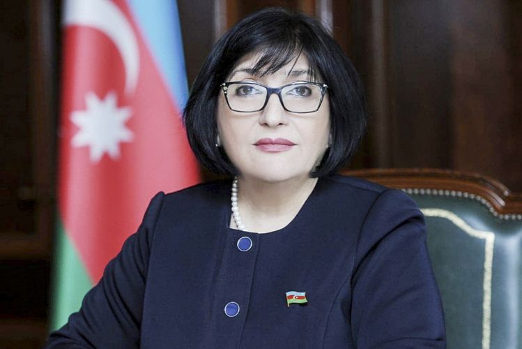 Azerbaijani Parliament’s speaker meets with heads of TURKPA, Turkic Academy, Turkish Culture and Heritage Foundation