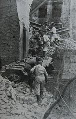 Witnessing and understanding historic recurrence, a long-awaited glimpse of hope - ANALYTICS