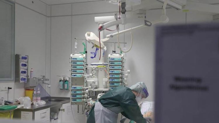 Global daily COVID cases, deaths near record-high