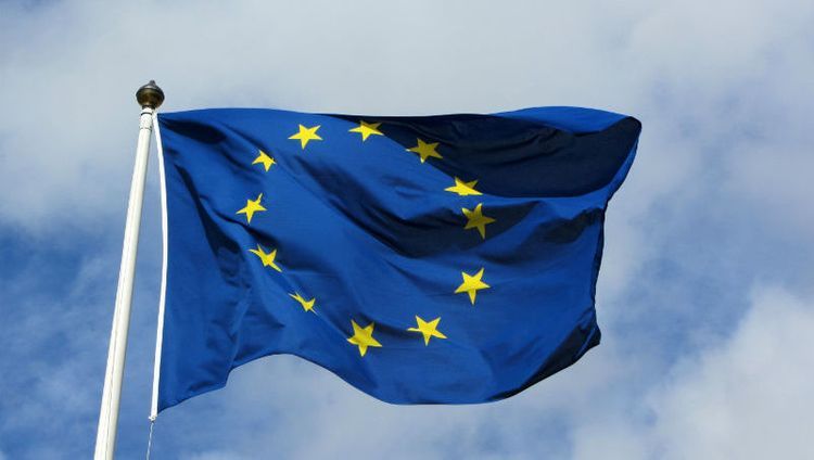 European Union condemns killing of Iranian scientist