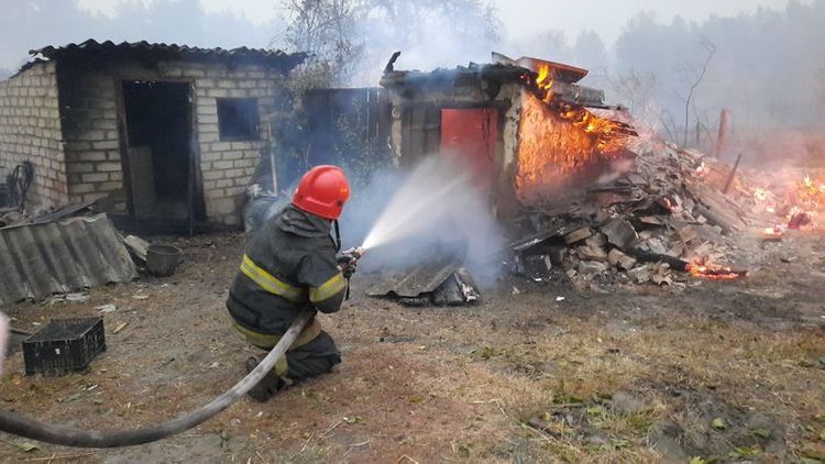 Eight killed, 10 hospitalised in forest fires in eastern Ukraine