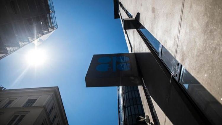 OPEC: COVID-19 caused biggest downturn since 1930s 