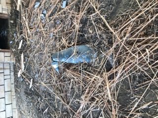 ANAMA neutralized projectile, drone, and several weapons on the frontline - PHOTO