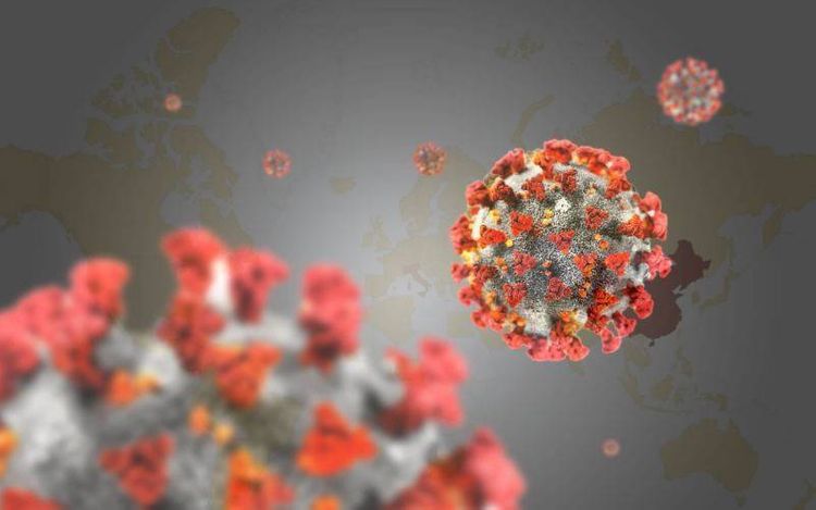 Dutch researchers report first death from COVID-19 reinfection