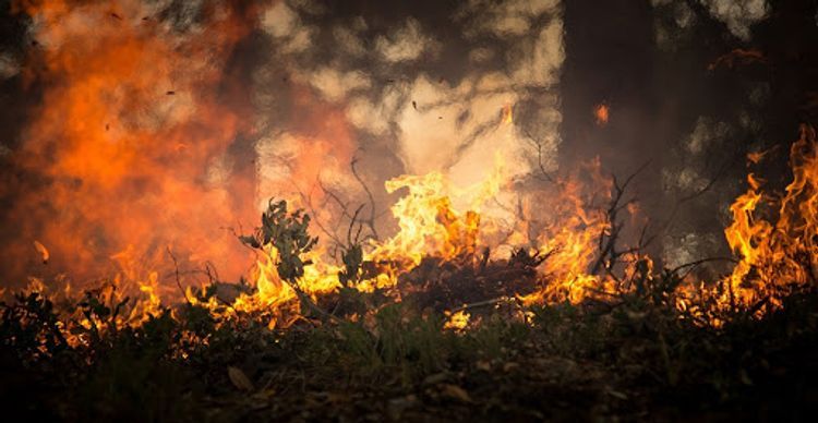 Colorado wildfire jump a highway and burn on an Army base