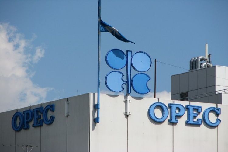 OPEC+ compliance with oil cuts in September seen at 102%